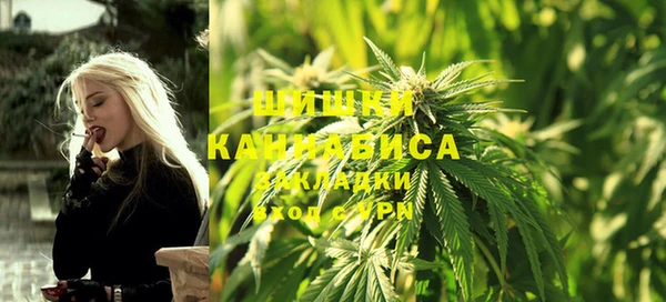 стаф Анива