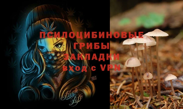 марки lsd Артём
