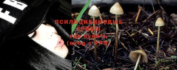 стаф Гусев